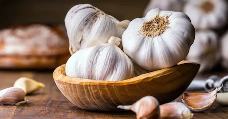 تصویر 3 از سیر فارس بنفش  عطر ملایم و رنگ بنفش